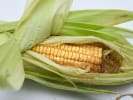 Cooking Class - Modern Latin for Beginners: corn