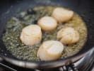 Cooking Class - Secrets to Searing Seafood: seared scallops