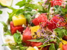 Cooking Class - Italian Food & Flavors in Downtown Dallas: summer salad