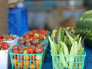 Seasonal Cooking in San Francisco
