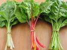 Cooking Class - Modern Southern Cuisine in Nashville: swissh chard