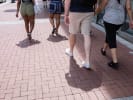 Food Tour - Little Havana Culture and Cuisine in Miami: tour group walking on brick sidewalk