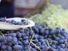 Seasonal Cooking in San Francisco