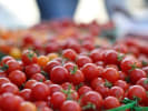 Market Tour + Class - Explore the Santa Cruz Farmers' Market in South Bay & Peninsula: Tomatoes