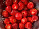 Cooking Class - Macaron Workshop: washed strawberries