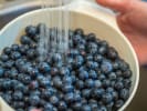 Cooking Class - Royale With Cheese and More: washing blueberries