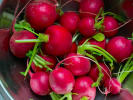 Cooking Class - Celebrating Women Menu: washing fresh radishes
