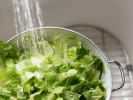 Cooking Class - Classic Regional Mediterranean Favorites: washing romaine lettuce