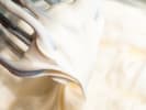 Cooking Class - Classic French Feast: whipped cream chantilly