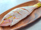 Cooking Class - Sous Vide Cooking for Beginners in Tampa: whole snapper