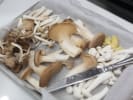 Pasta Making Class - All About Pasta in Manhattan: wild mushrooms