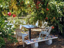 Culinary Adventure - Seasonal Dinner at a Vineyard: winery venue