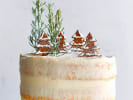 Cooking Class - Glittery Holiday Layer Cake in Manhattan: winter cake