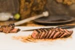 Food Shot 4