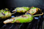 Food Shot 2