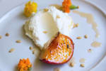 Food Shot 4