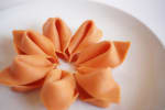Food Shot 4