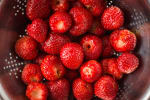 Food Shot 4