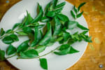 Food Shot 3
