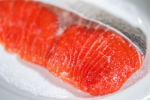 Food Shot 2