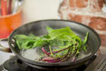 Food Shot 5