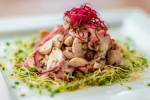 Food Shot 2