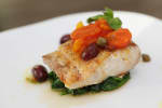Food Shot 0