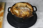 Food Shot 4