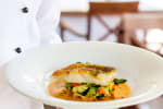 Food Shot 4