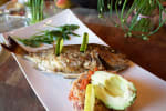 Food Shot 2