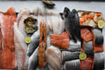 Food Shot 1