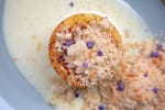 Food Shot 4