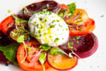 Food Shot 2