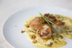Food Shot 2