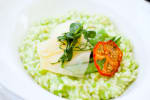 Food Shot 0
