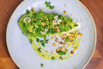 Food Shot 3