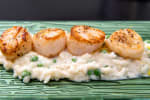 Food Shot 3