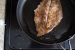 Food Shot 3