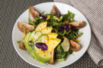 Food Shot 2
