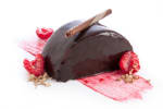 Food Shot 5