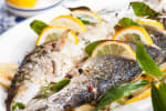 Food Shot 3