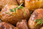 Food Shot 3