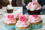 Food Shot 0