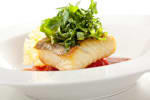 Food Shot 0