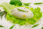 Food Shot 2