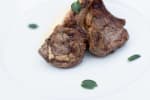 Food Shot 4