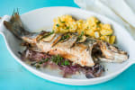 Food Shot 3