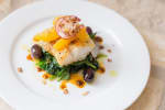 Food Shot 5