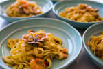 Food Shot 7