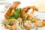 Food Shot 3